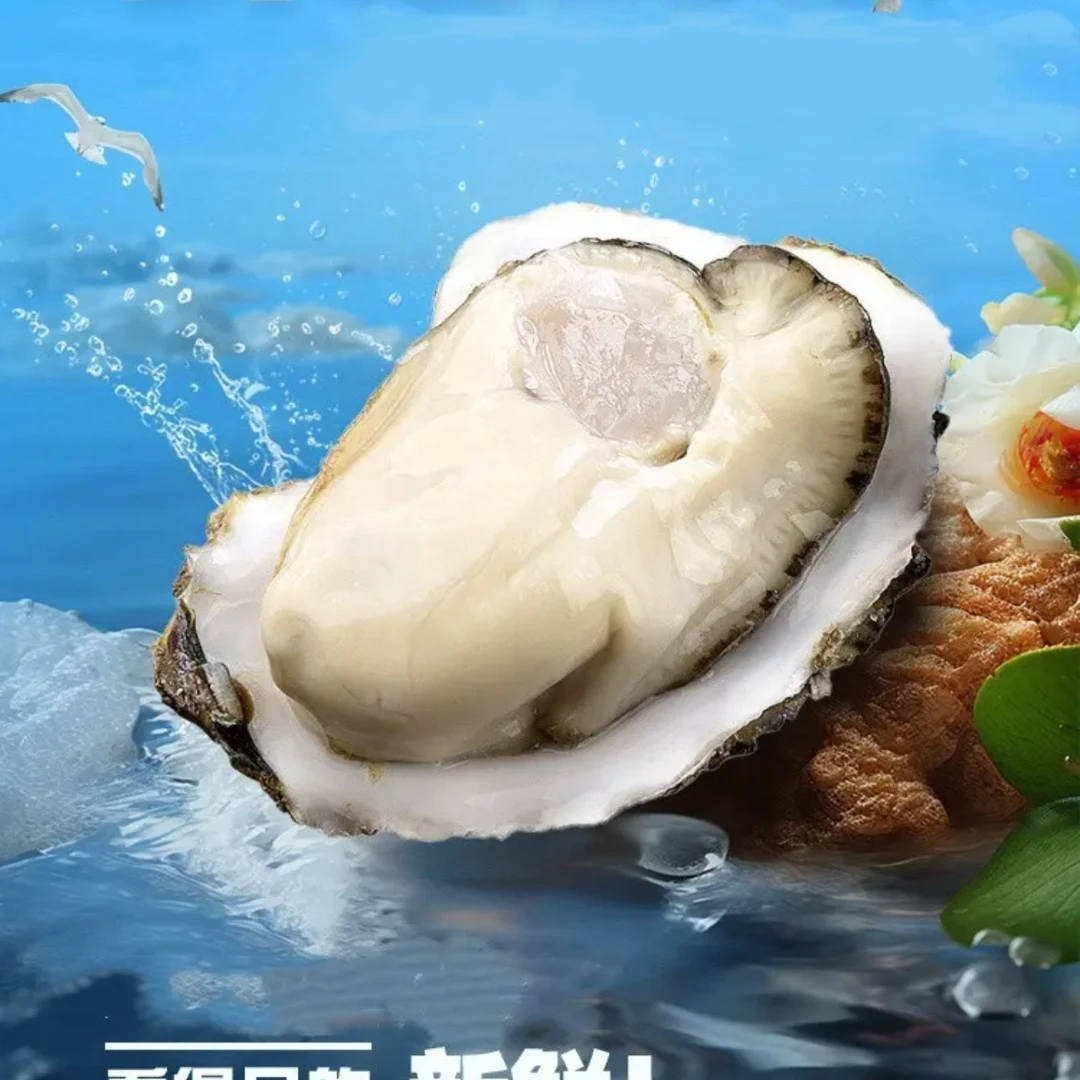 【福袋】2斤试吃装生蚝