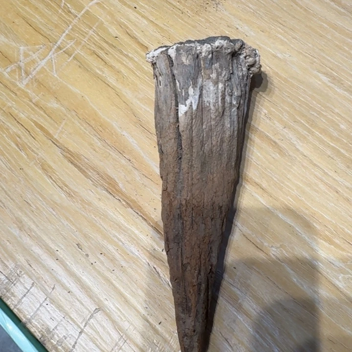 6***9柏木崖柏啊啊啊啊