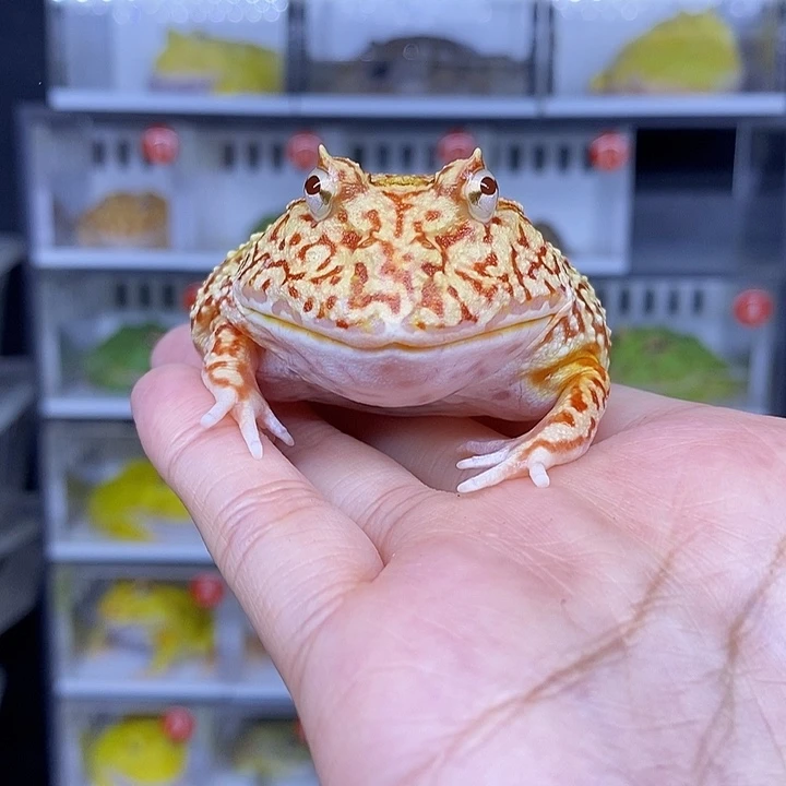 特价秒杀现货供应