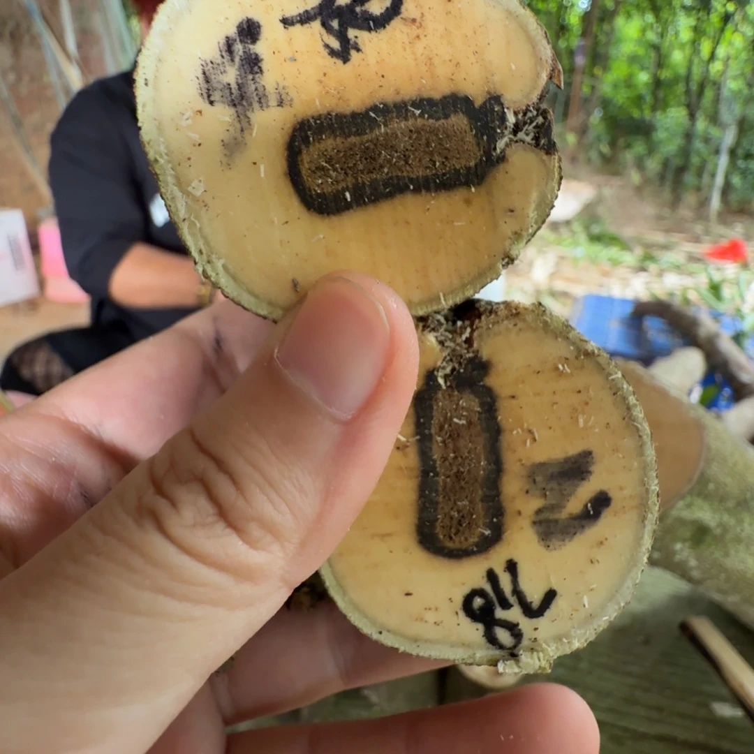 线香奇楠沉香原木