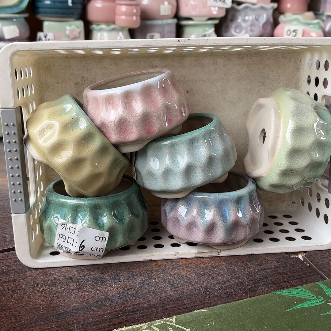 量货/6口高5深浅搭配发6