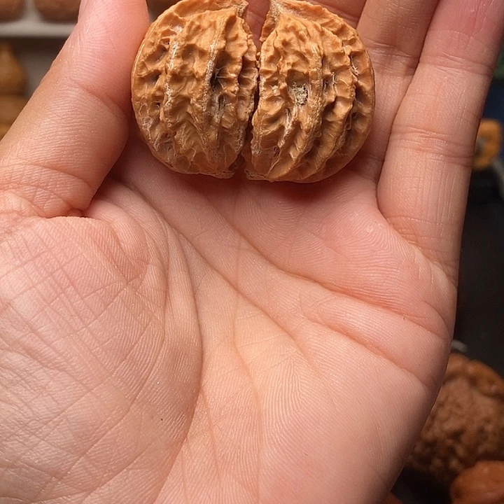 吊坠文玩核桃半臂