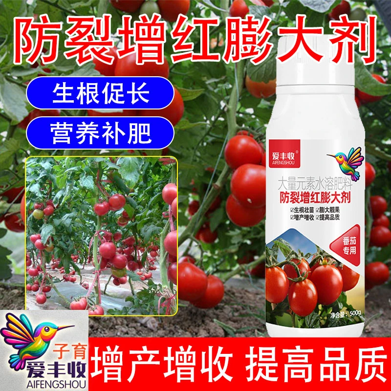 爱丰收番茄防裂增红膨大剂番茄膨大剂增产增收座果膨大增收叶面肥