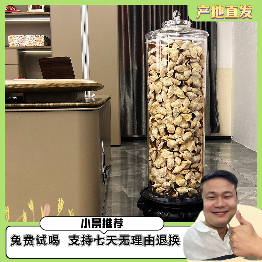 【小叶油柑】 梅江塞口围产区 青皮