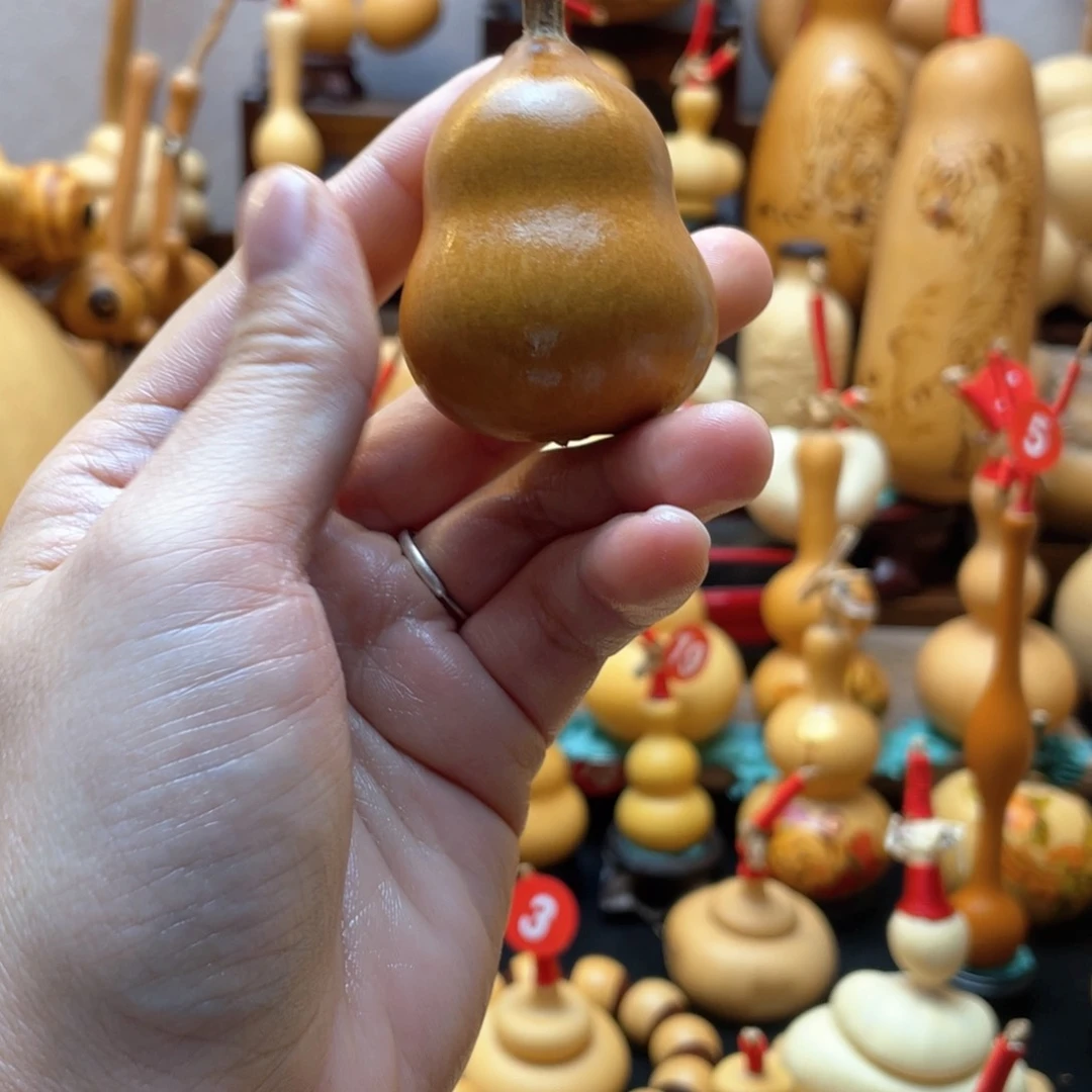 大自然的秘密第十一节你是谁