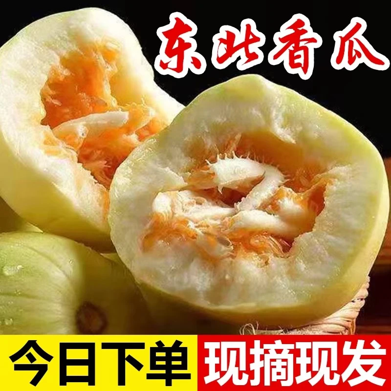 东北香瓜甜瓜新鲜现摘当季时令水果特产小甜瓜整箱