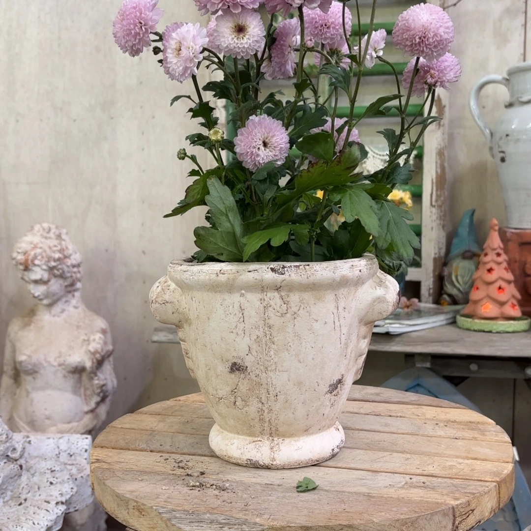 许纯的花房 孤品450