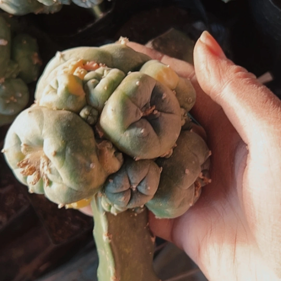 【闪购商品】3070无根瑕疵