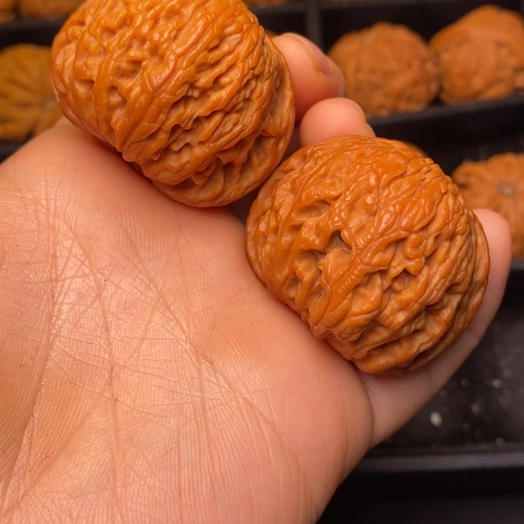 秦岭野生文玩核桃