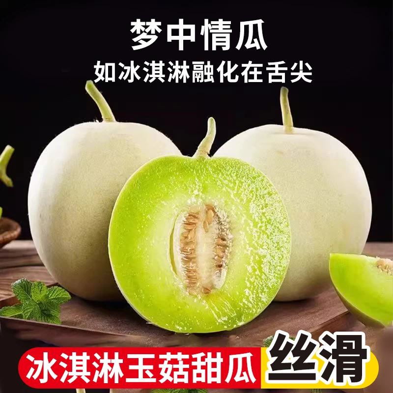 山东玉菇甜瓜4.5斤装冰激凌甜瓜哈密瓜软糯香甜新鲜现摘好吃