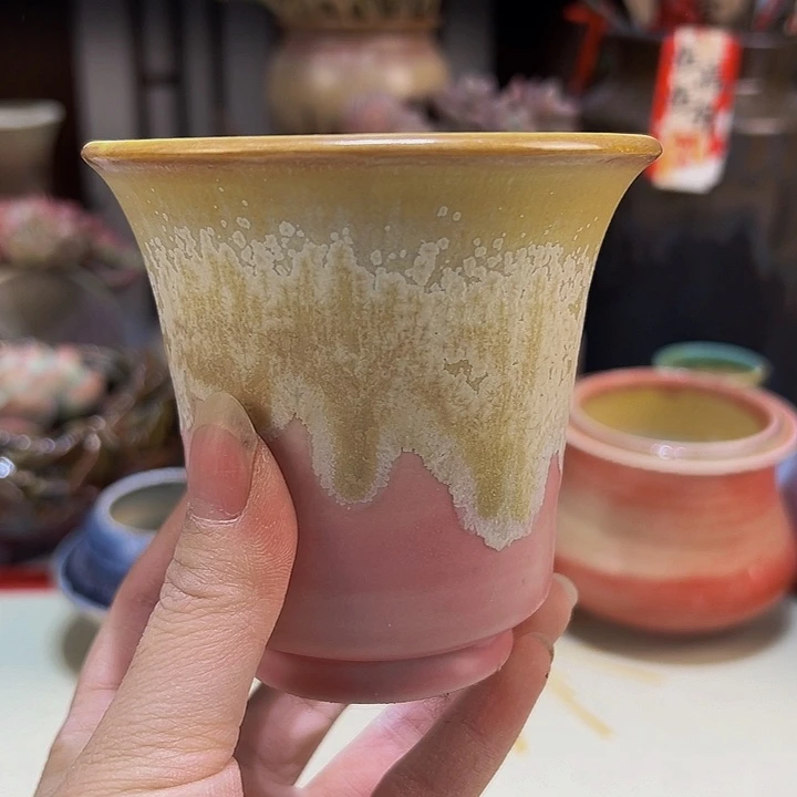 景德镇陶瓷研究所所长我**姐