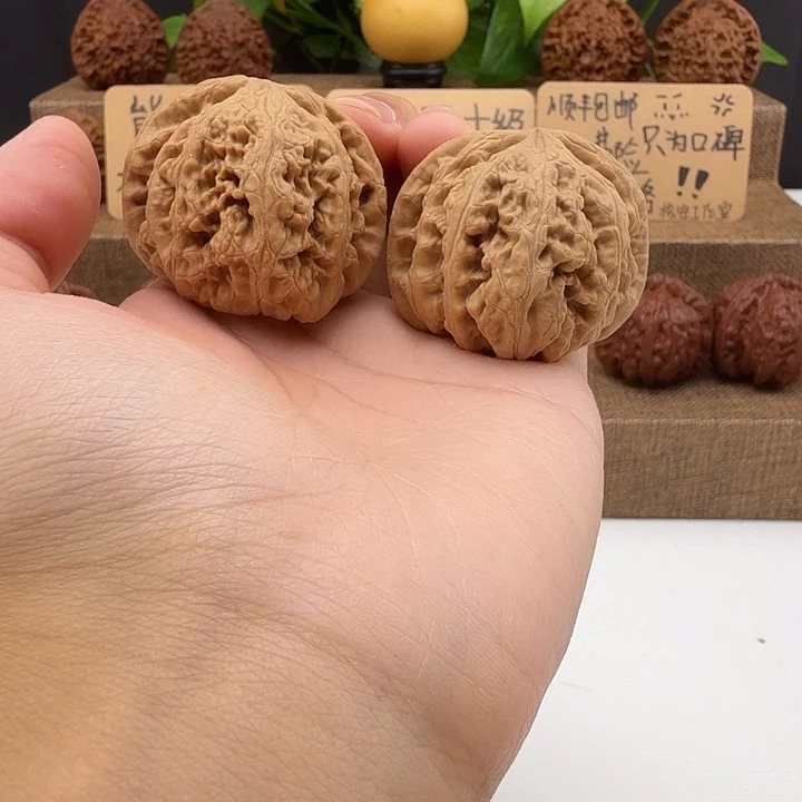 全品大粗筋44/41/36