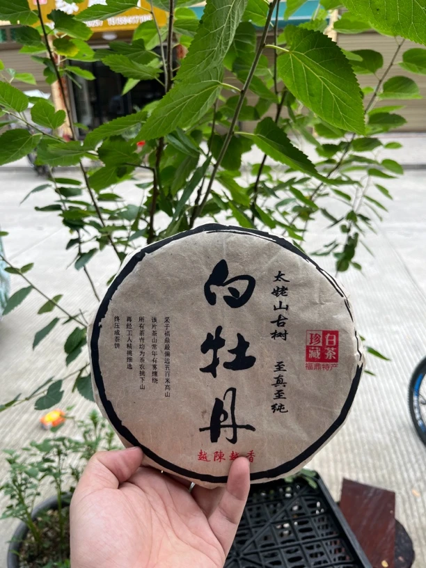 福春莱 2013年白牡丹饼 300克1饼
