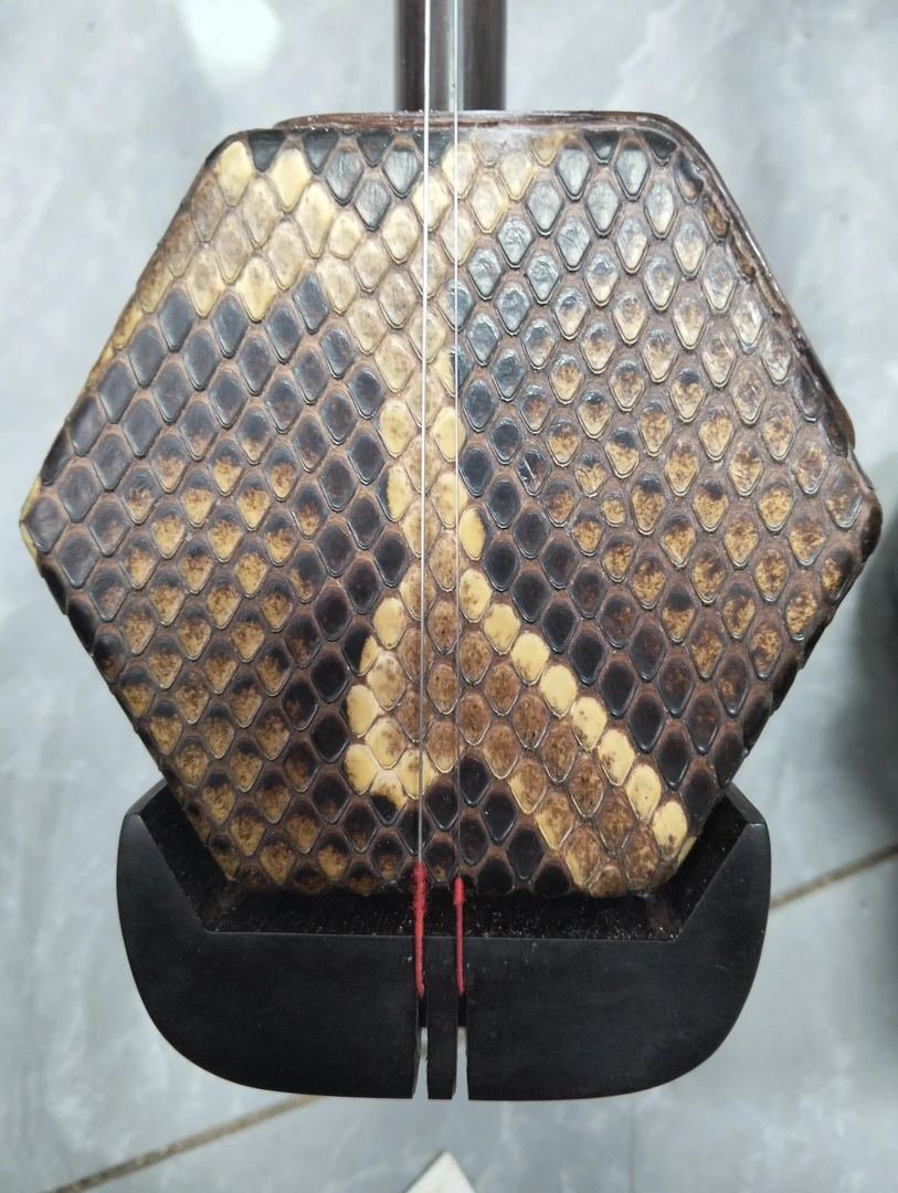 特殊皮明清老红木专业演奏琴/正桶正托