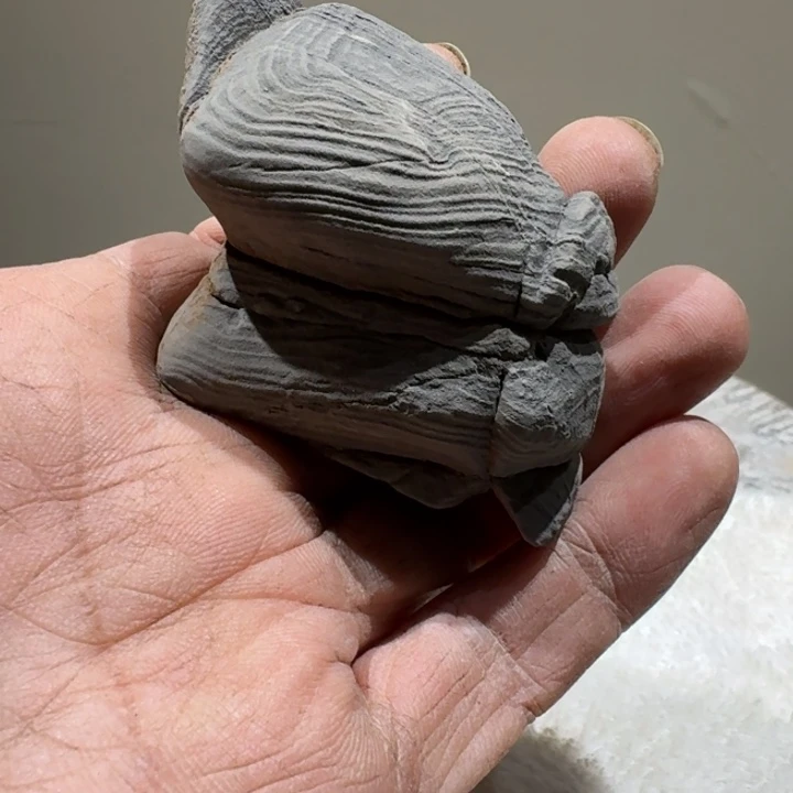 十***六香榧木石头啊啊啊啊