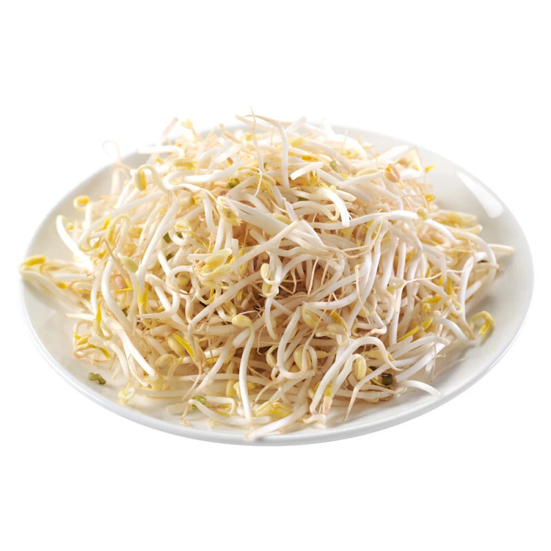 家乐园定制黄豆芽约500g