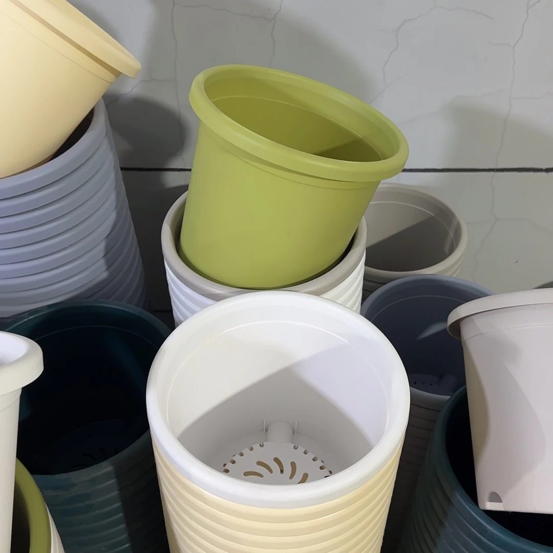 微瑕4号3个带托，果绿