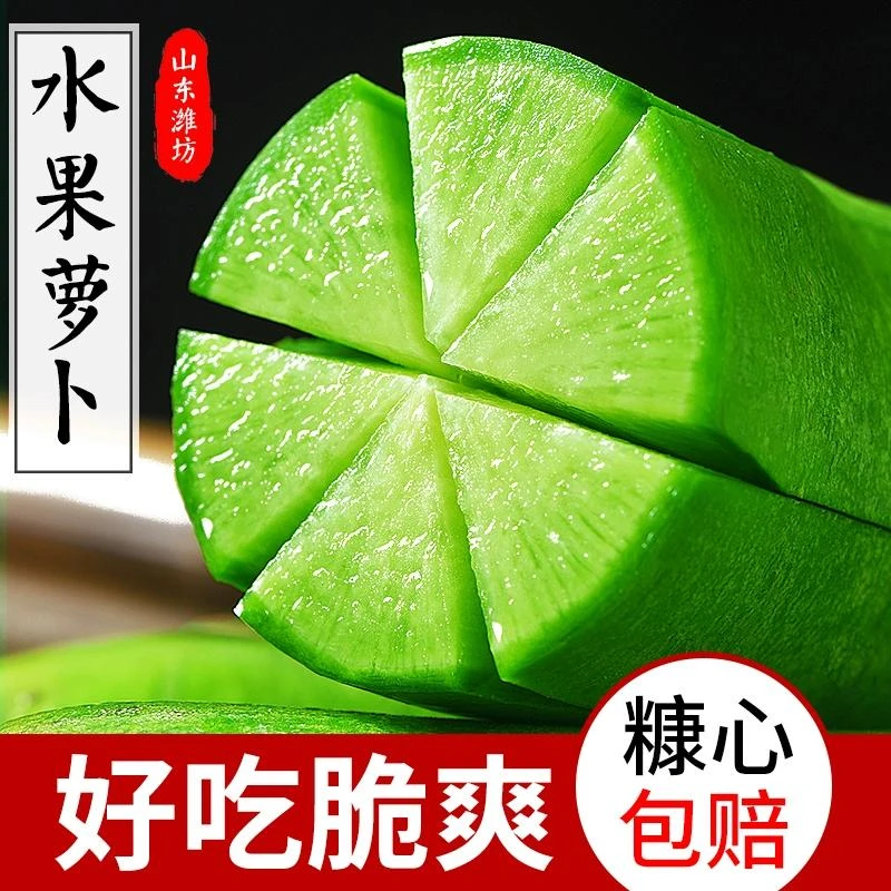 【潍坊直发】水果萝卜正宗山东潍坊脆甜多汁生吃微辣高脚青沙窝萝卜
