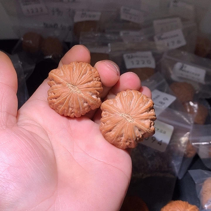 把件文玩核桃铁锤全品白茬41