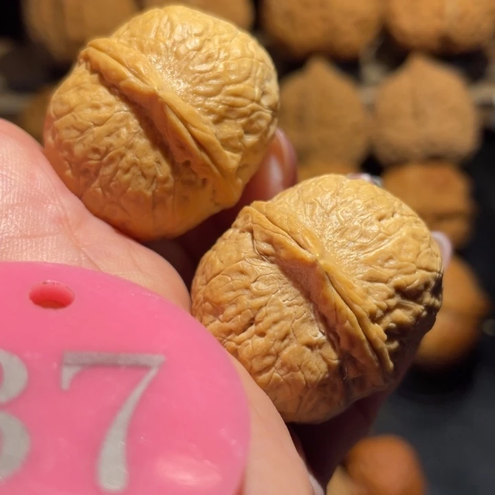 龙珠蛇皮球核桃尺寸32