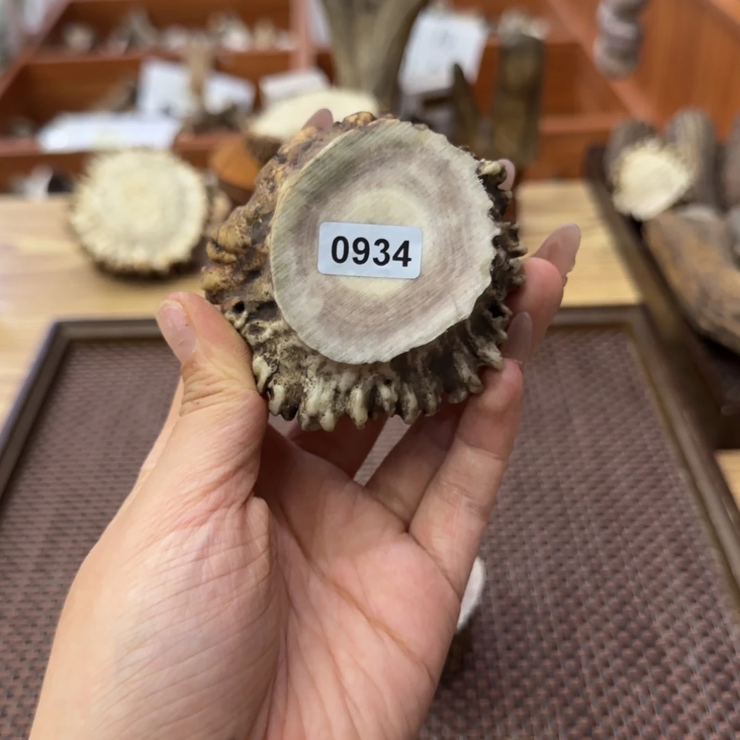 鹿骨其他0934角帽