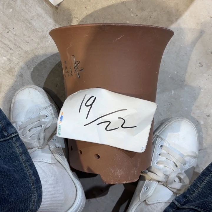 紫砂茶壶紫砂的花