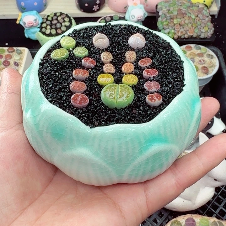 581零下地区记得拍保温箱