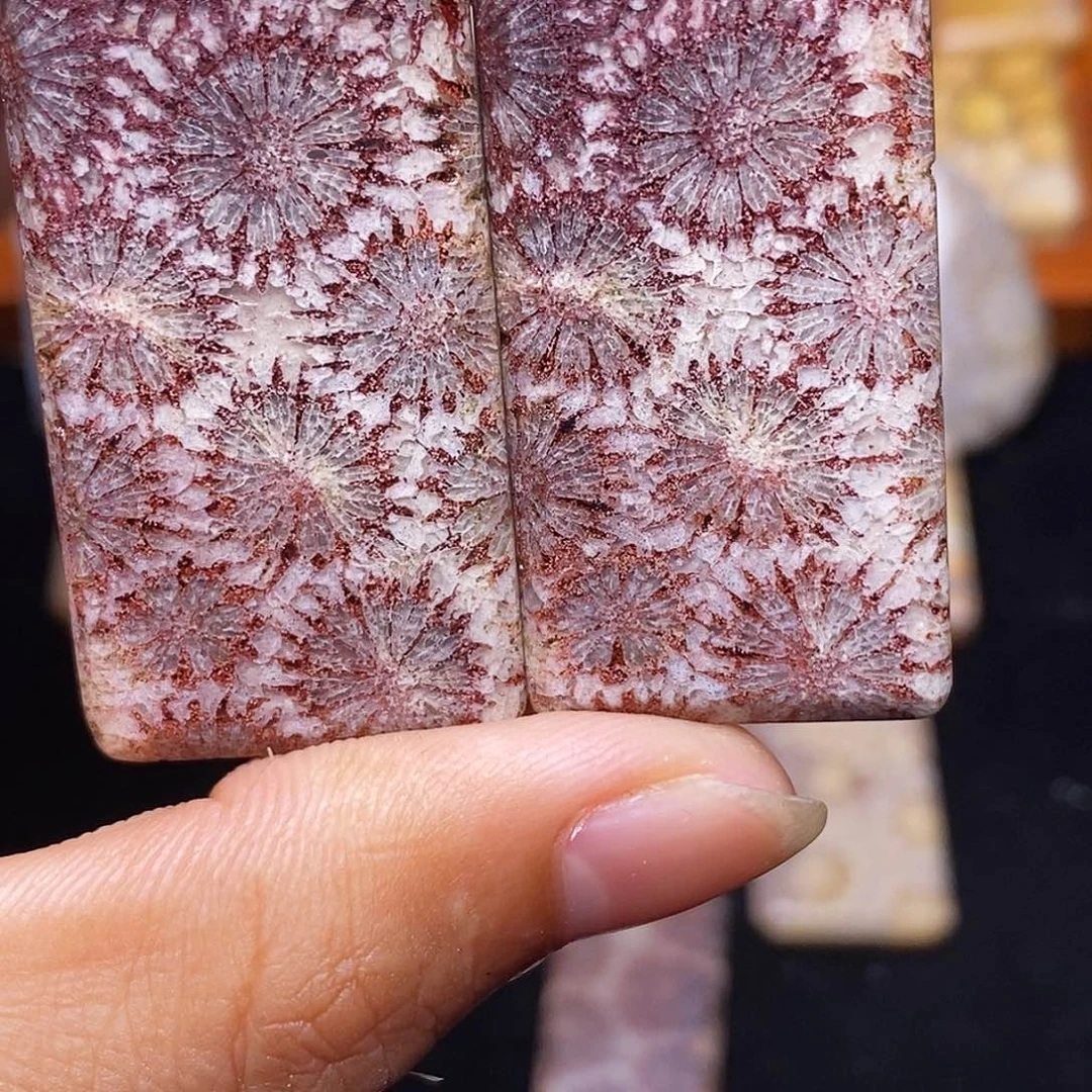 牛***坊合金珊瑚玉硅化玉