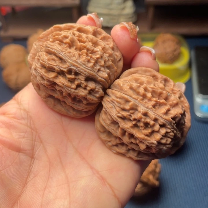 核桃44四座楼00000