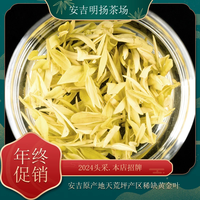 明扬2025新茶安吉原产地小芽头黄金叶明前浓香耐泡
