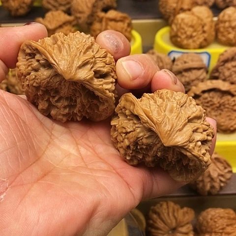 吊坠文玩核桃太极蛇