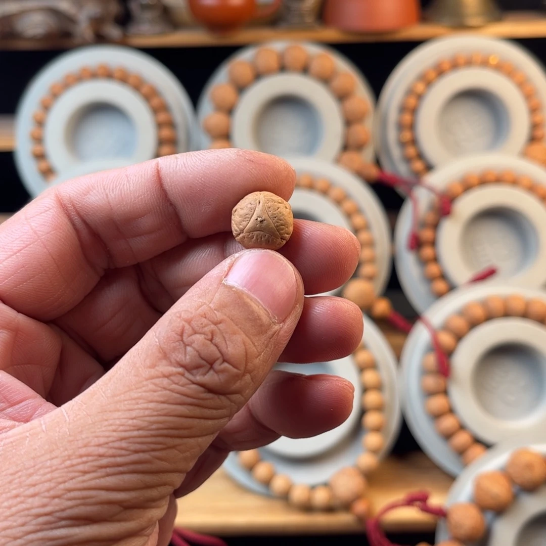 凤眼菩提吊坠13.5龙眼一颗