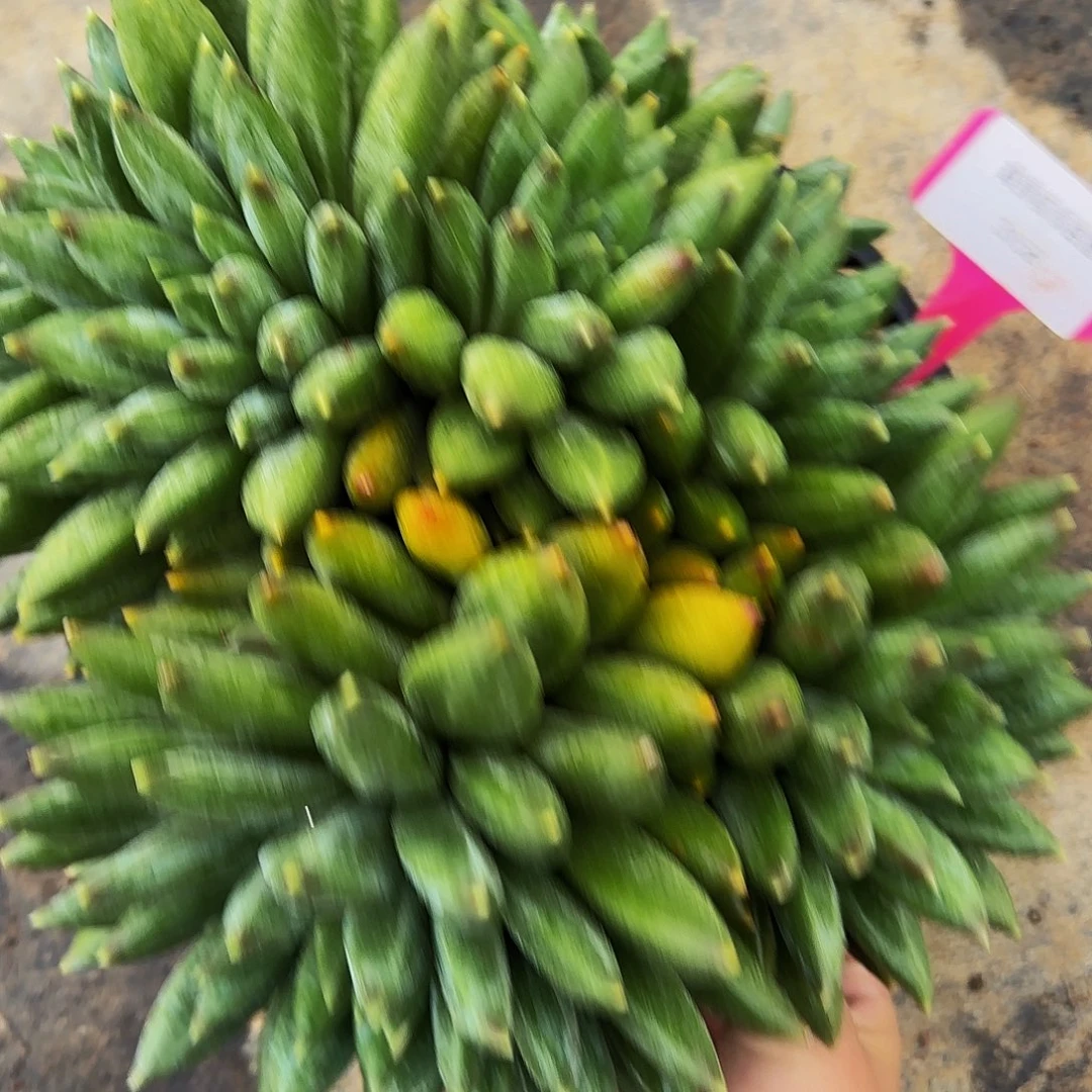 朱***朱啊健健康康是哈哈哈哈llllla3158