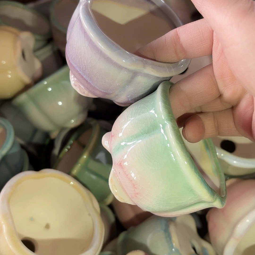 量货/6口高5.5深浅搭配发6