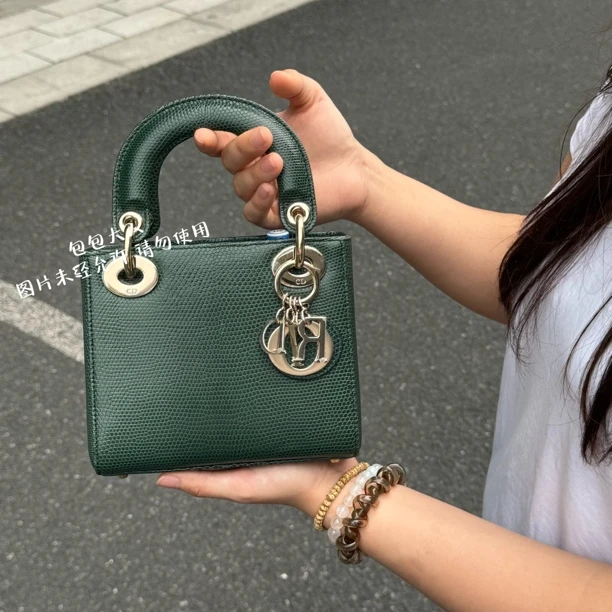 99新 DIOR/迪奥 蜥蜴皮三格戴妃单肩包