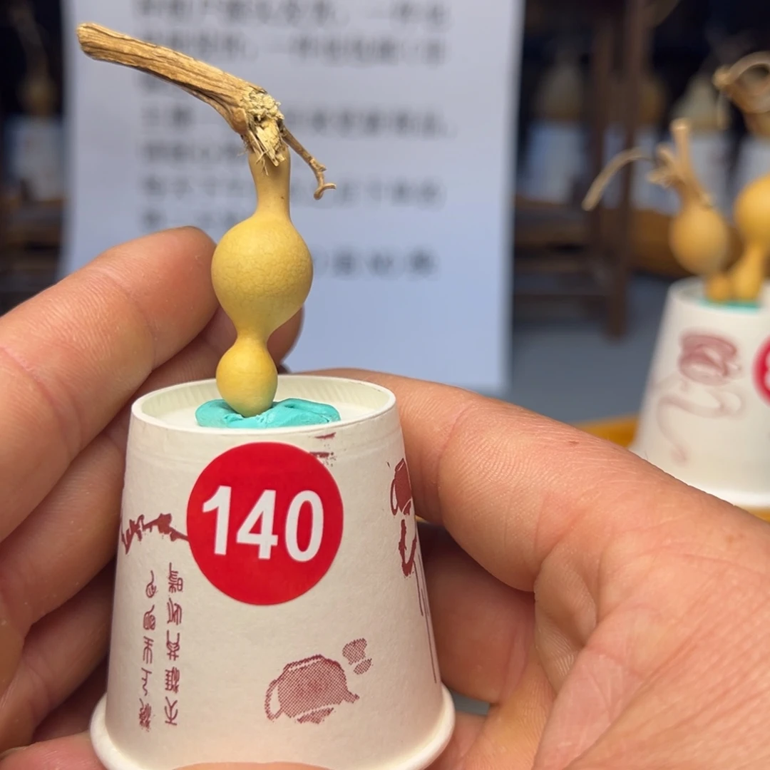 闪电购自助下单编号140