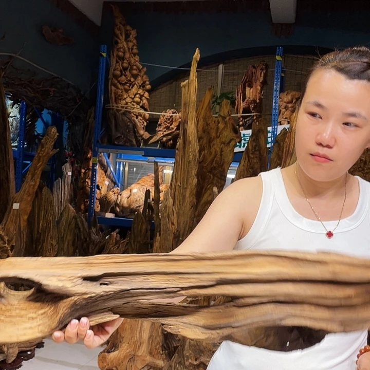 童***歌松木（琥珀木）北沉香 琥珀木