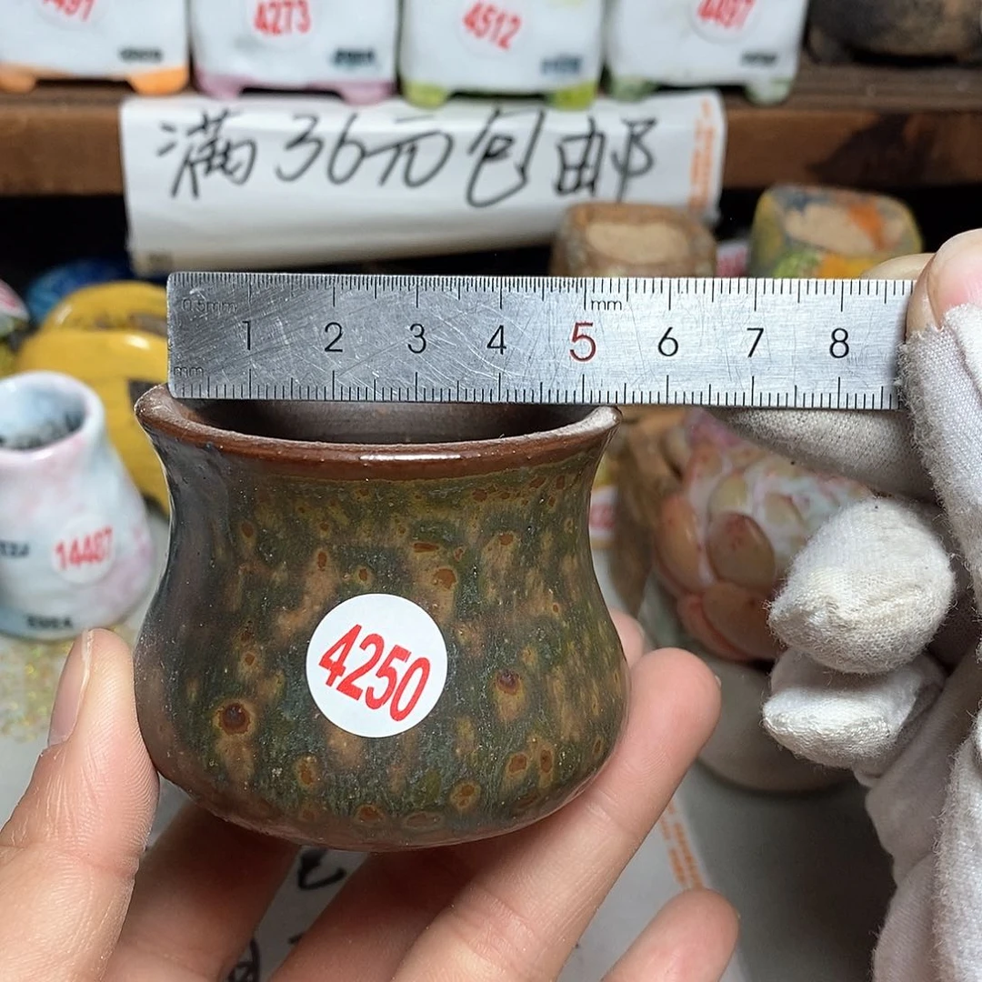 红陶拍5送一个小