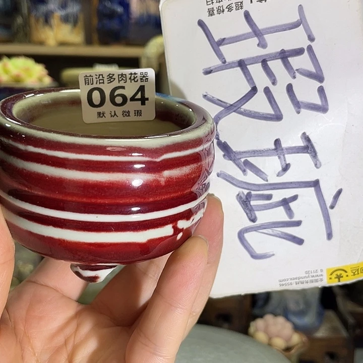 狼盆内口径6高度5