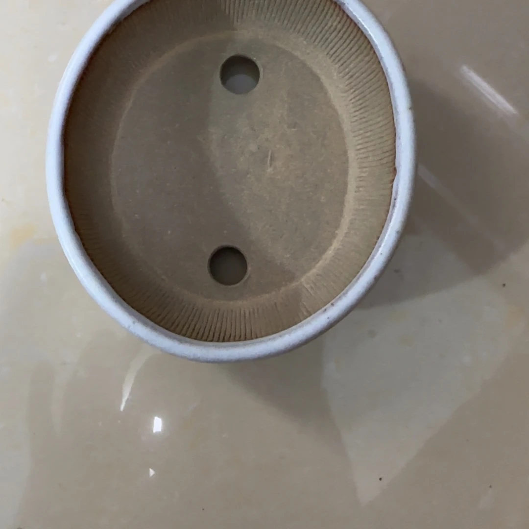 日***缘哈哈哈哈我的天啊我