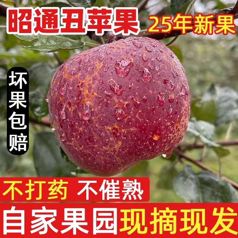 云南昭通冰糖心丑苹果早熟红富士当季新鲜采摘2001丑苹果9斤