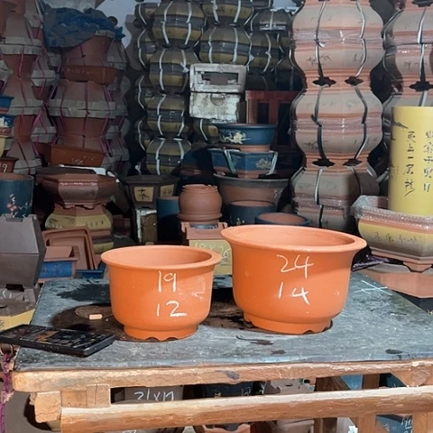 紫砂花盆金钟盆两个红