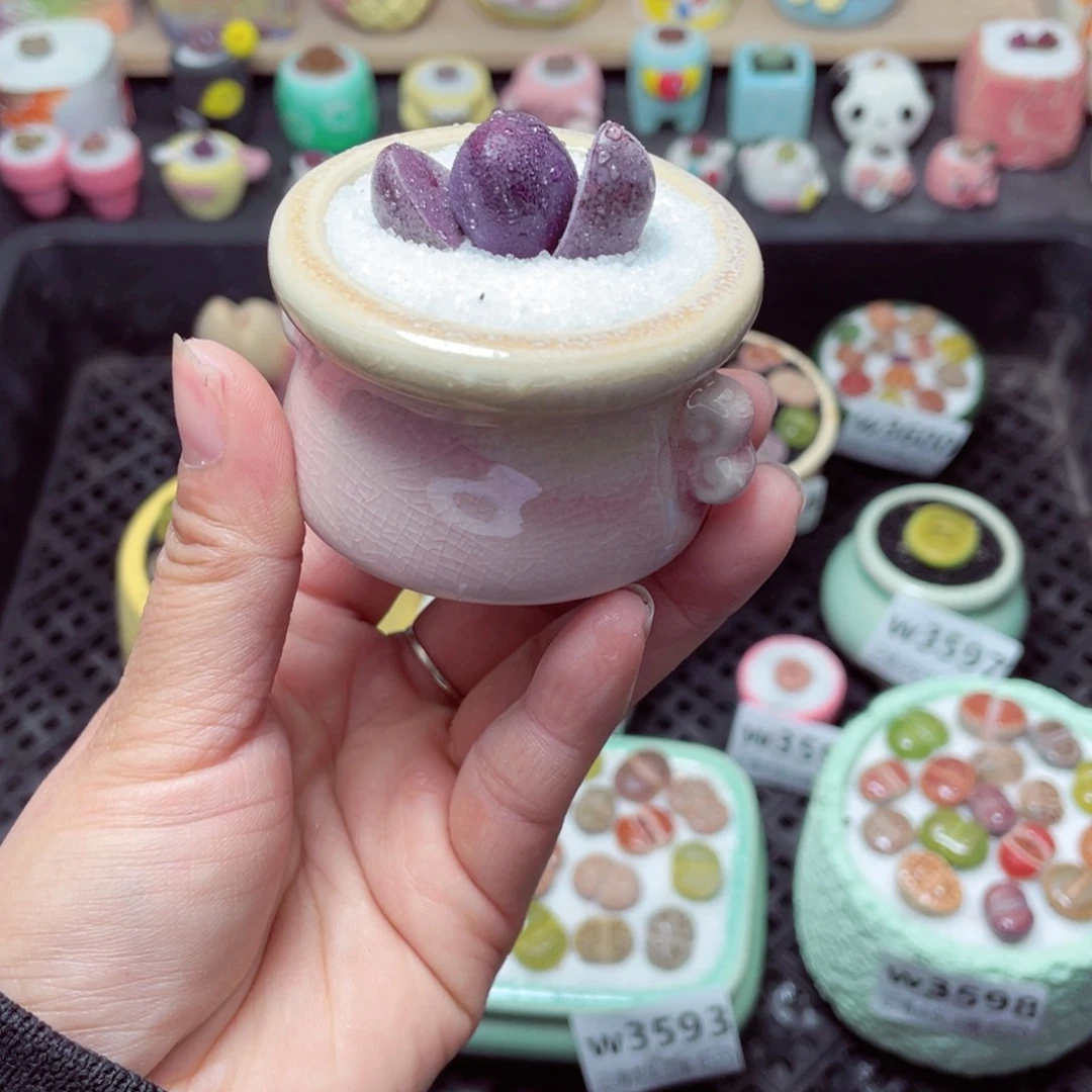 w3601 带盆土发货-零下地区拍保温箱