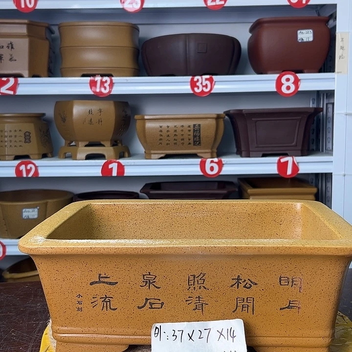 紫砂花盆你在一起