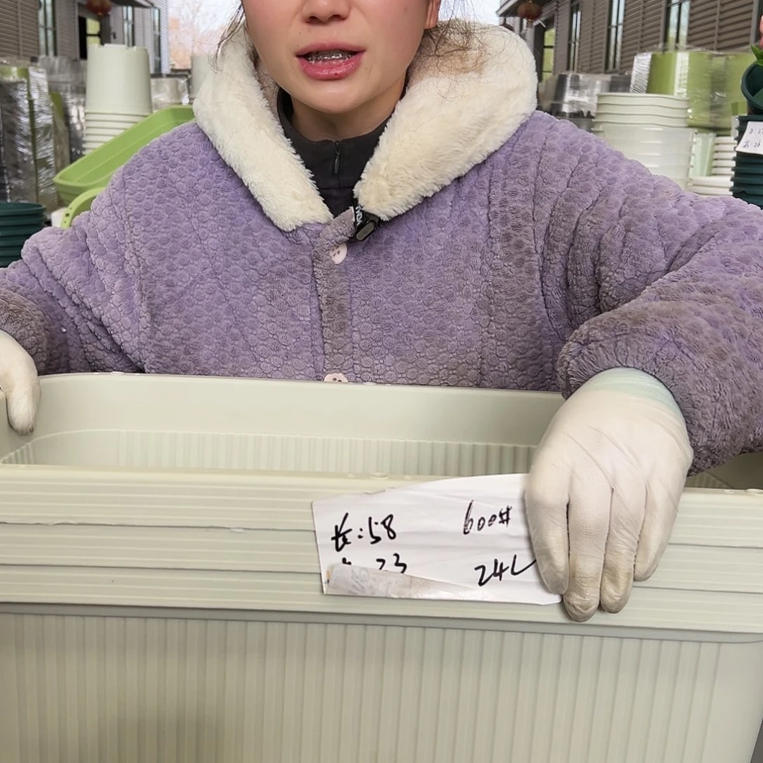 菜盆600#米白3个无托