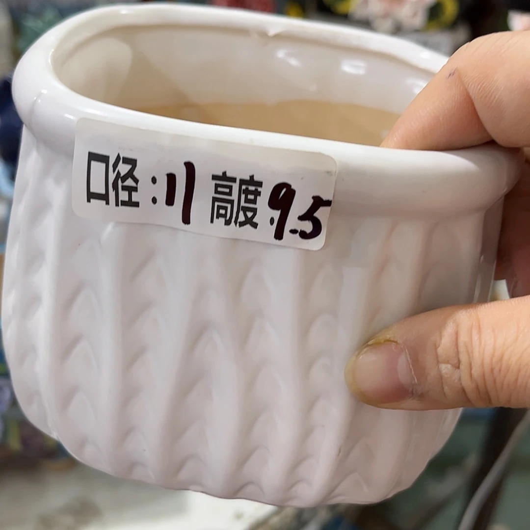 【闪购商品】红陶福利