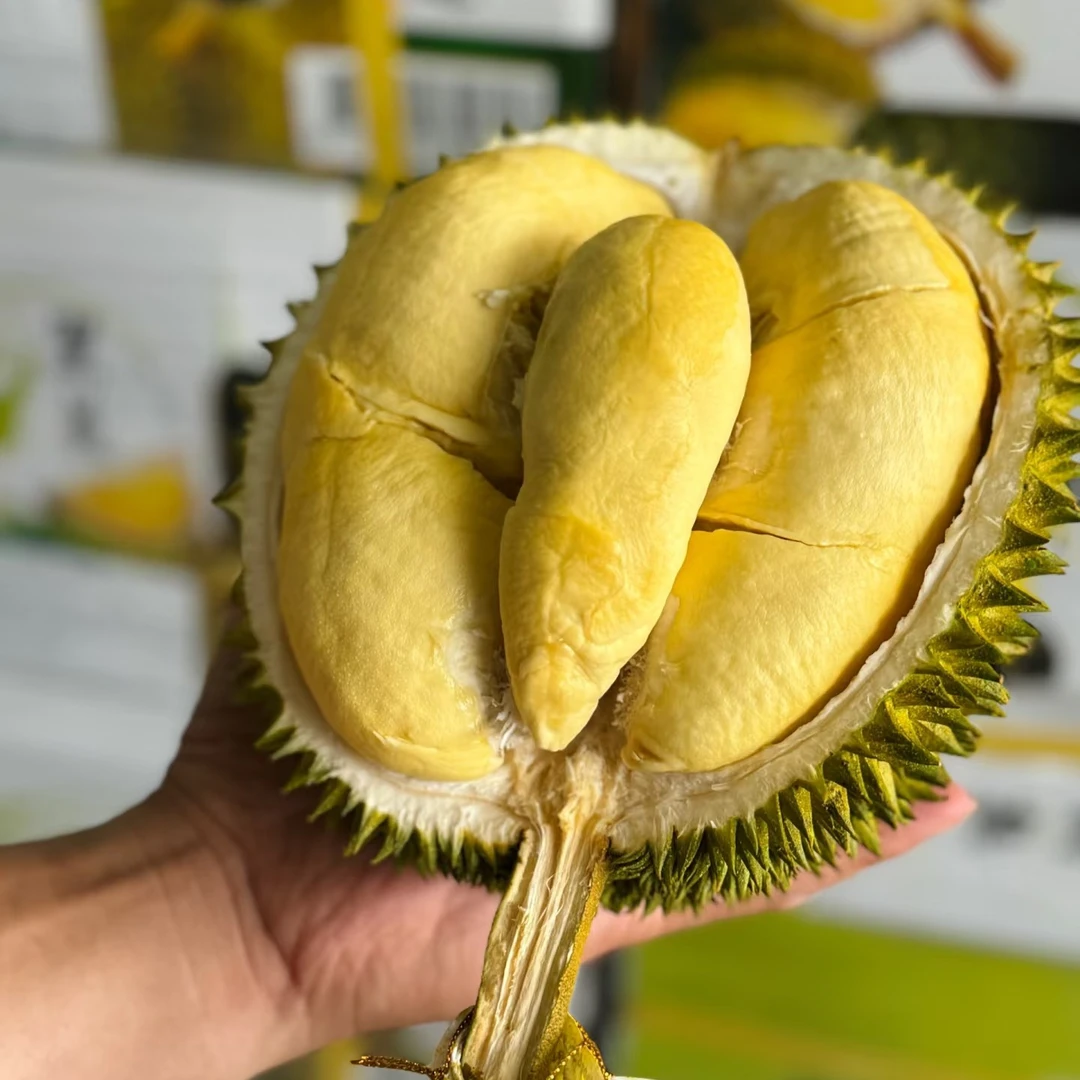 泰国空运新鲜长柄猫山王（一物一拍kg）核大长柄猫山王泰国