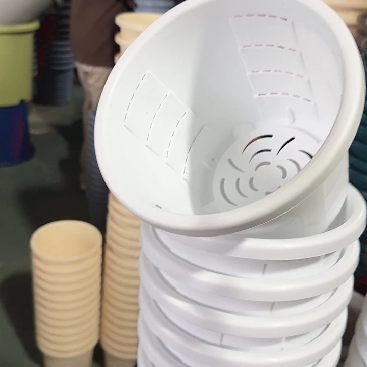 测19口径6个无托白色