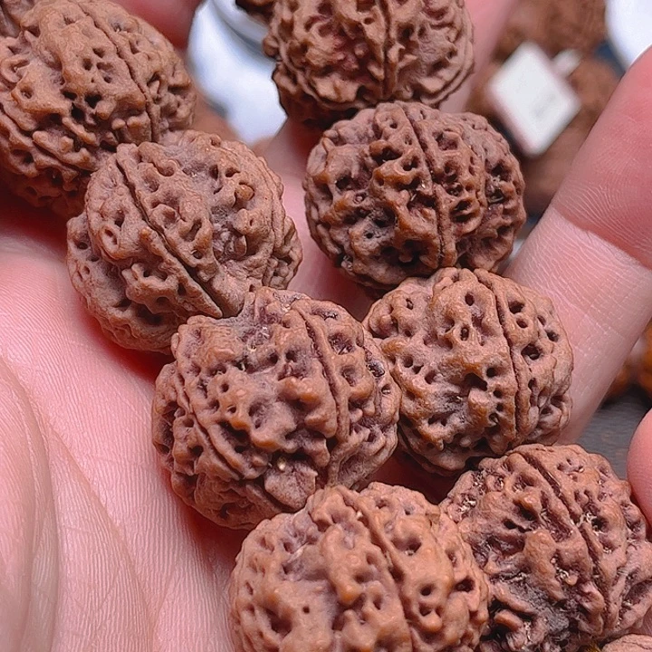钱***吟金刚菩提手串L181/24/5