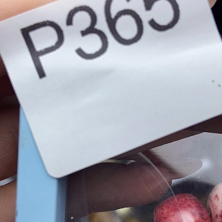 手工艺品琉璃用****8365